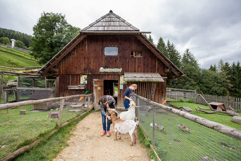 Der Streichelzoo für Groß und Klein | © Martina Draper