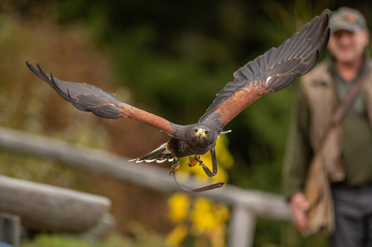 zu Gast bei den Königen der Lüfte | © Tintimax Photography