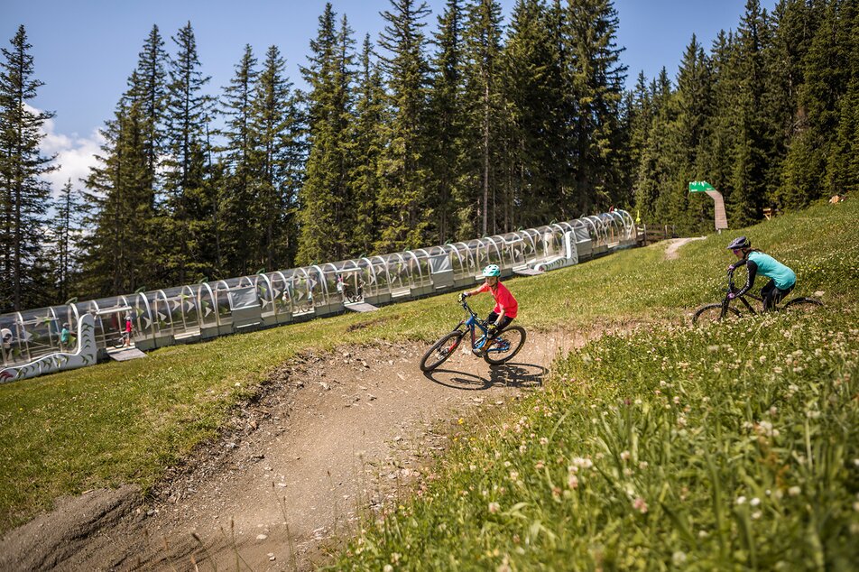 Junge Downhill Biker im Bikepark Planai | © Roland Haschka