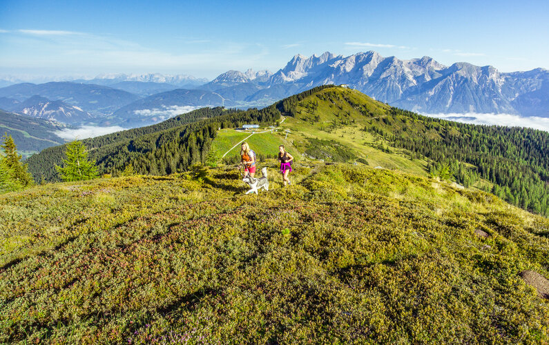 vFamilienwandern im Sommer auf der Planai mit Ausblick auf das Dachsteinmassiv | © Johannes Absenger