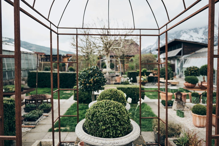 der pranzl Blumen & Co - Impression #2.4 | © Armin Walcher
