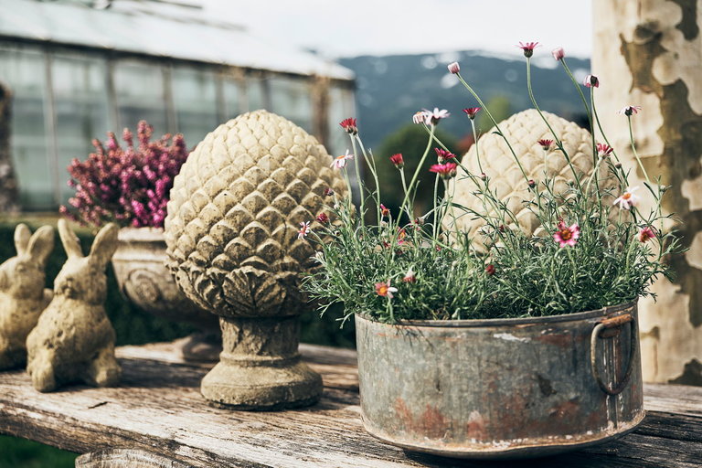 der pranzl Blumen & Co - Impression #2.3 | © Armin Walcher