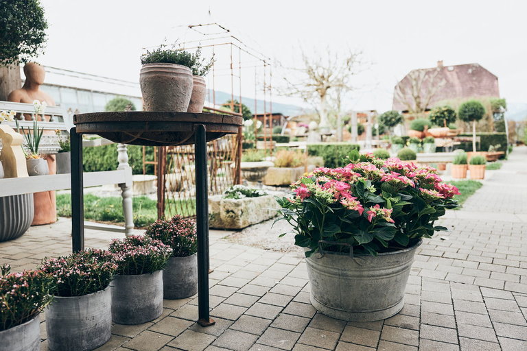 der pranzl Blumen & Co - Impression #2.6 | © Armin Walcher