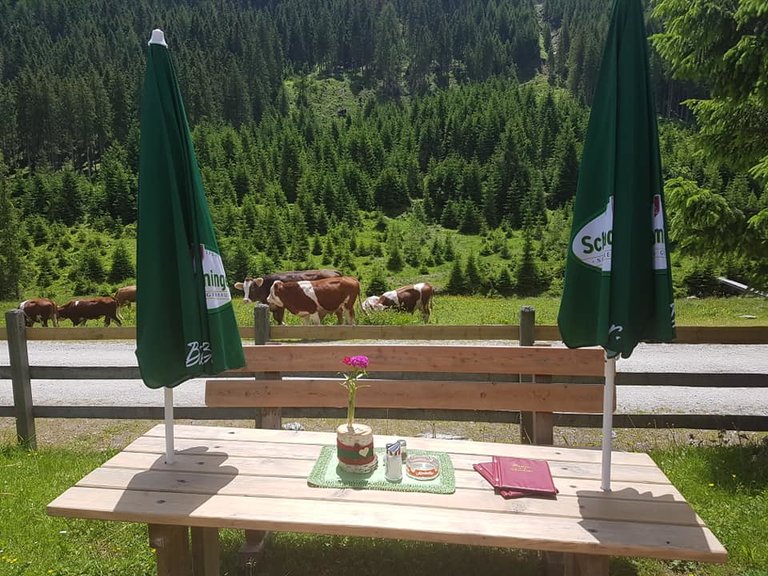 Perneralm - Impression #2.3 | © Perneralm