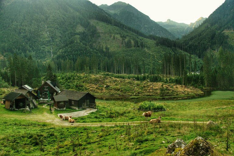 Harmeralm, Kleinsölk | © Marlene Eggmayr
