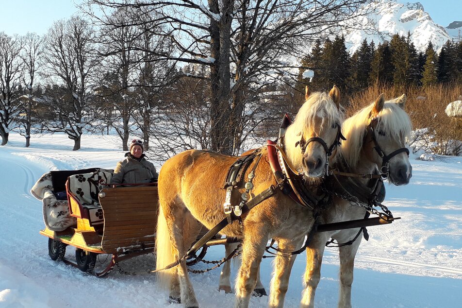 Pferdeschlittenfahrt am Kielerhof | © Kielerhof