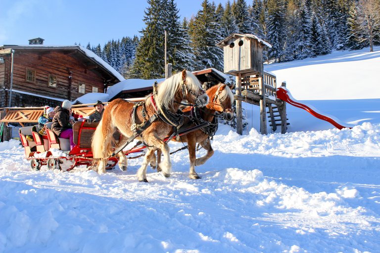 Rösteralm - Impression #2.17 | © Walcher, Stoanerhof