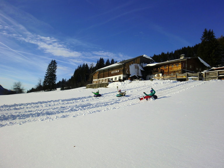 Rösteralm - Impression #2.19 | © Walcher, Stoanerhof