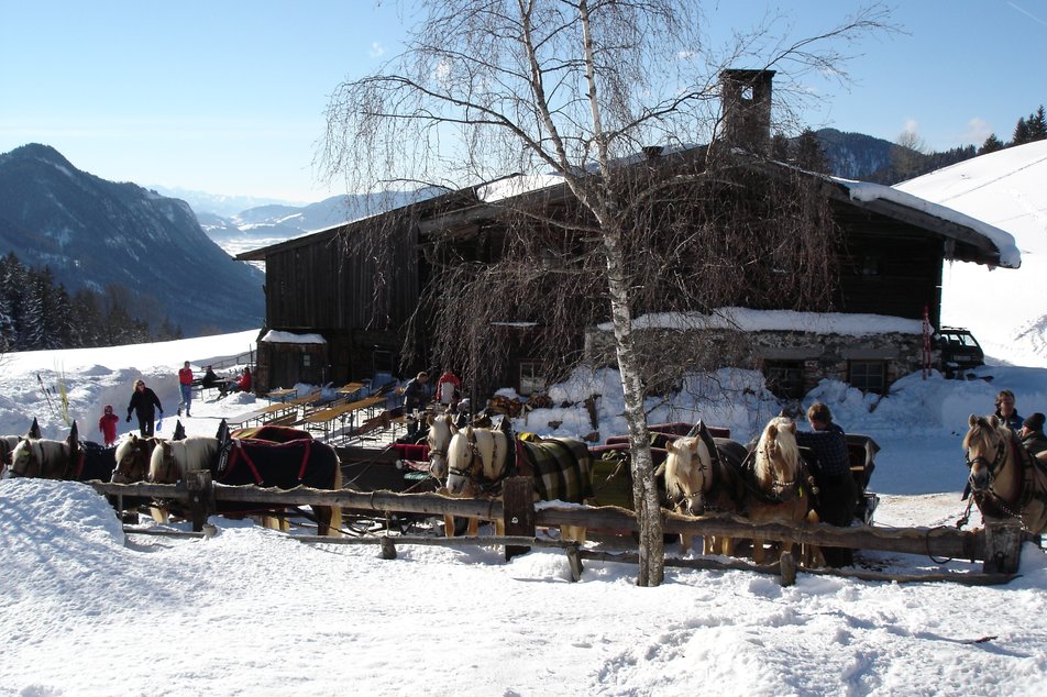 Horse sleighs at Halseralm | © Tourismusverband Schladming