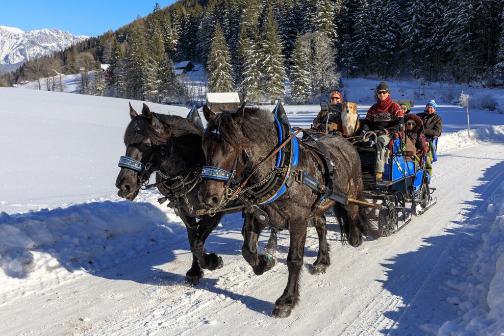 Angererhof  - Impression #1.1 | © Martin Huber