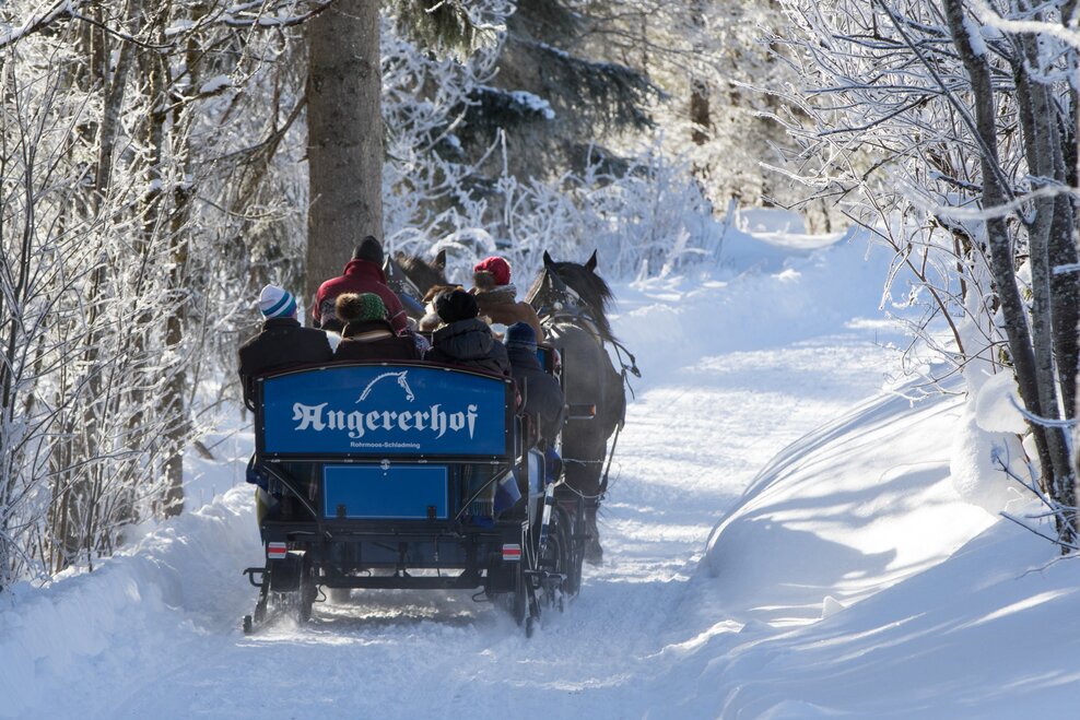 Pferdeschlittenfahrt am Angererhof | © Martin Huber