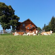 Sommer Bichlhütte
