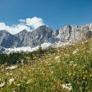 Blick auf das Dachsteinmassiv